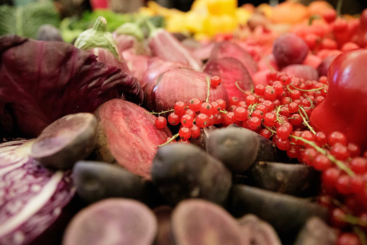 20 Jahre Wiener Tafeln 9. September 2019