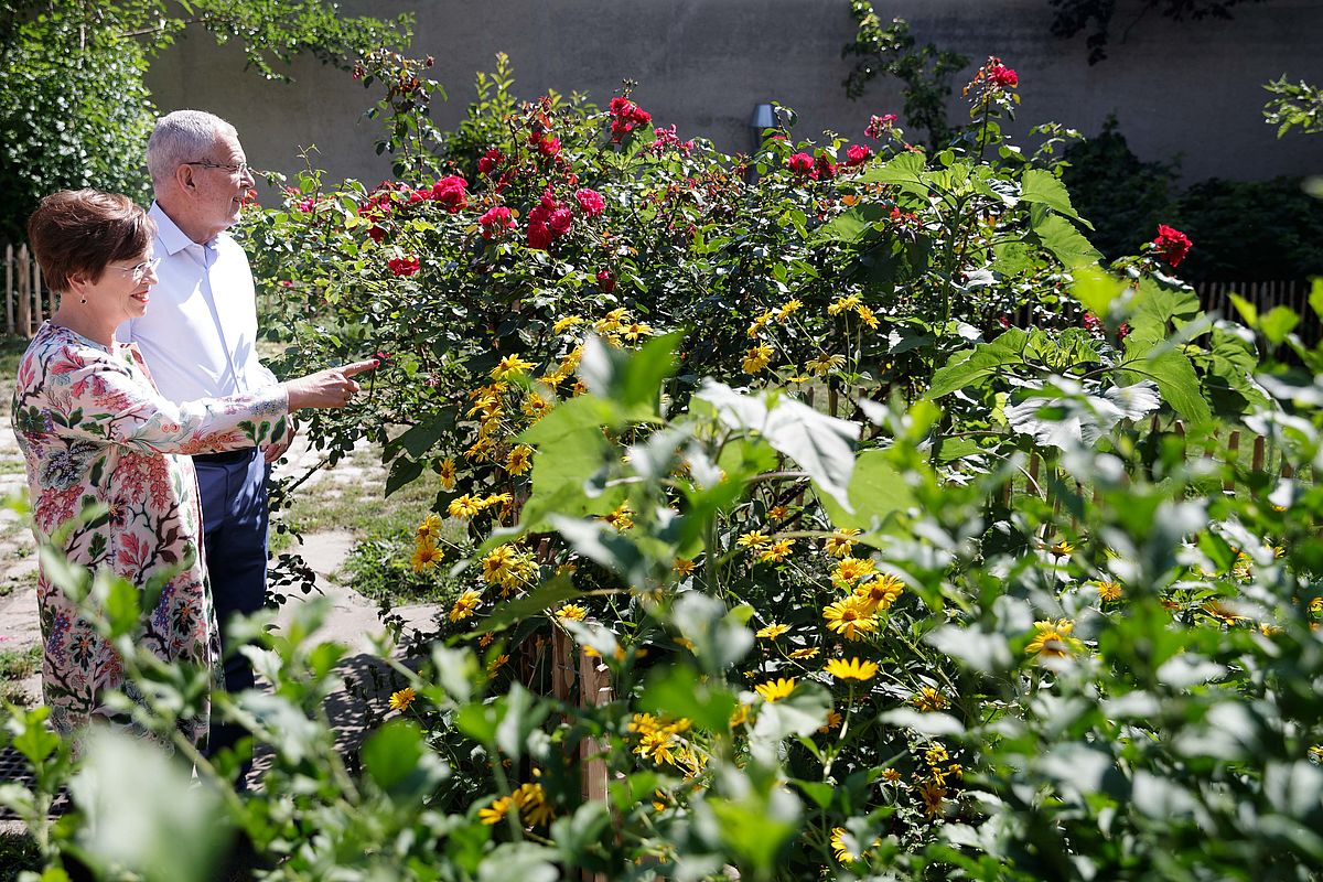 Besuch am Biohof Harbich 19. Juli 2019