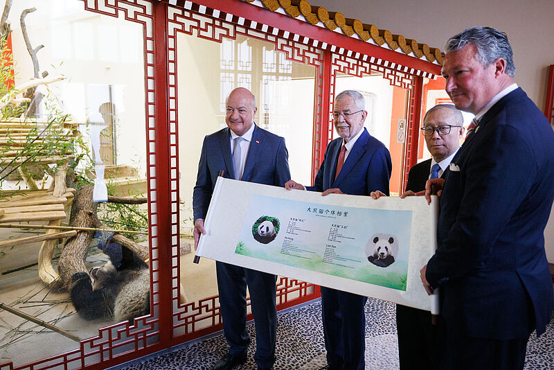 Begrüßung der Großen Pandas im Tiergarten Schönbrunn 14. Mai 2025