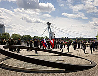 Bild 6 von 16