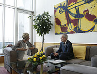 Bild 7 von 8