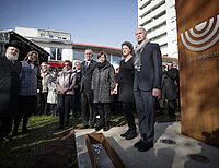 Bild 6 von 17
