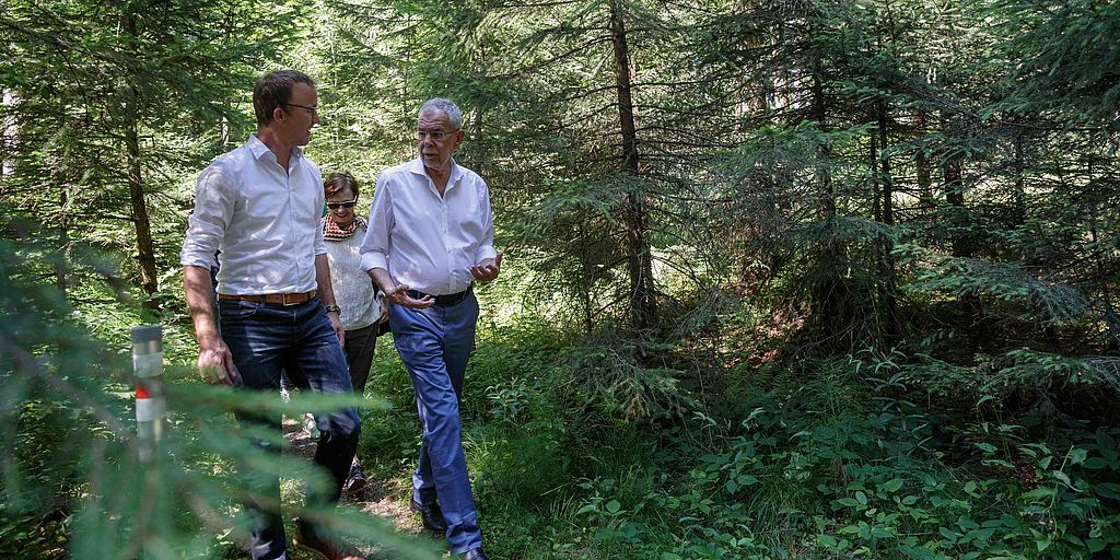 Besichtigung von Bushüsle und Waldspaziergang durch das Moor von Krumbach