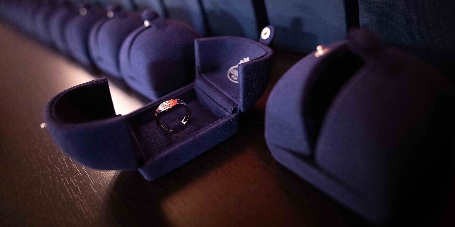 Ehrenringe der Republik Österreich, überreicht von Bundespräsident Alexander Van der Bellen