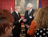 Bild 7 von 11
