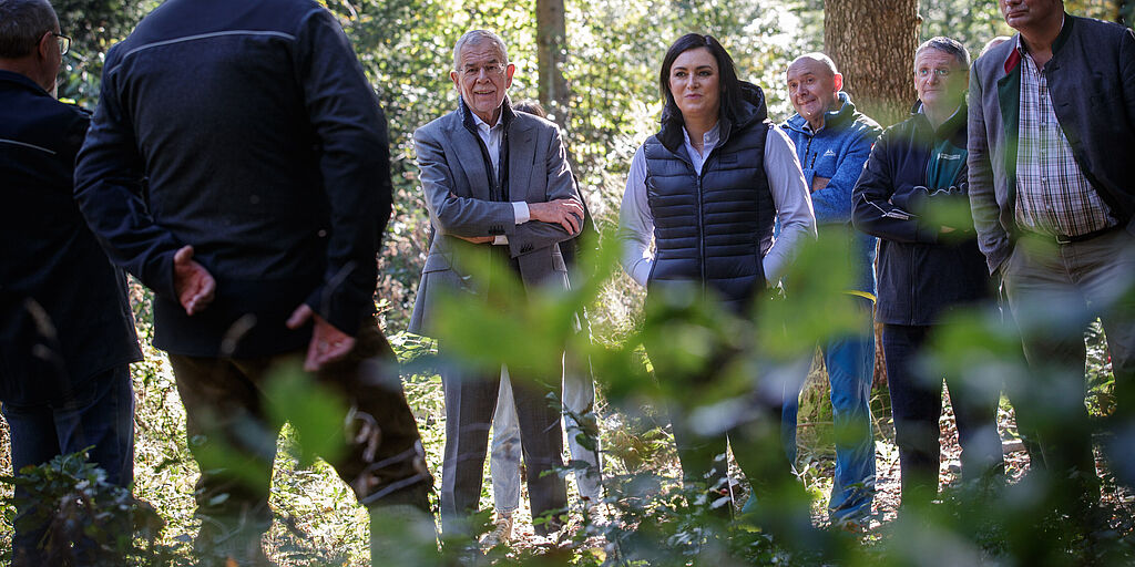 Bundespräsident Alexander Van der Bellen zu Besuch im "Wald der Zukunft" der Österreichischen Bundesforste AG