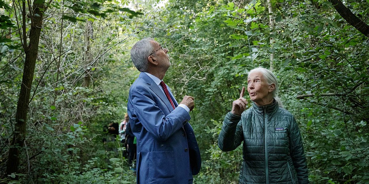 Ehrenzeichenverleihung an Jane Goodall