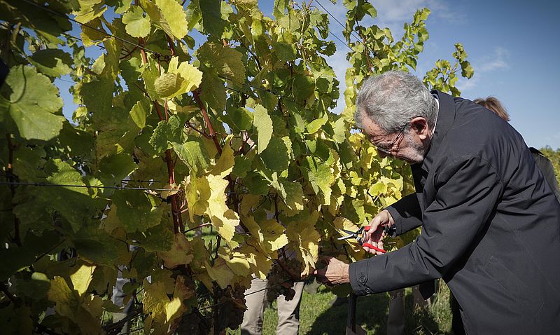 Besuch bei der Höheren Bundeslehranstalt und beim Bundesamt für Wein- und Obstbau