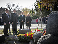 Bild 12 von 17