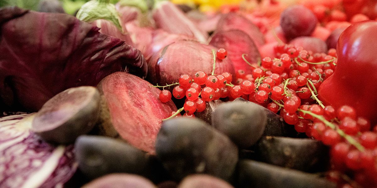 Festveranstaltung anlässlich 20 Jahre Wiener Tafeln im Kunsthistorischen Museum