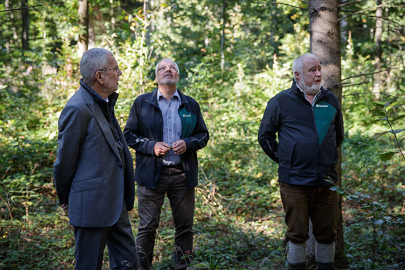 Zu Besuch im "Wald der Zukunft" 6. Oktober 2020