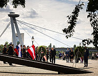 Bild 8 von 16