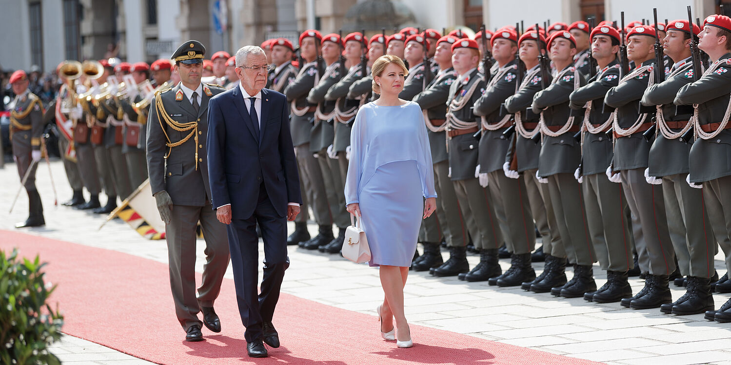 Begrüßung mit militärischen Ehren in Wien