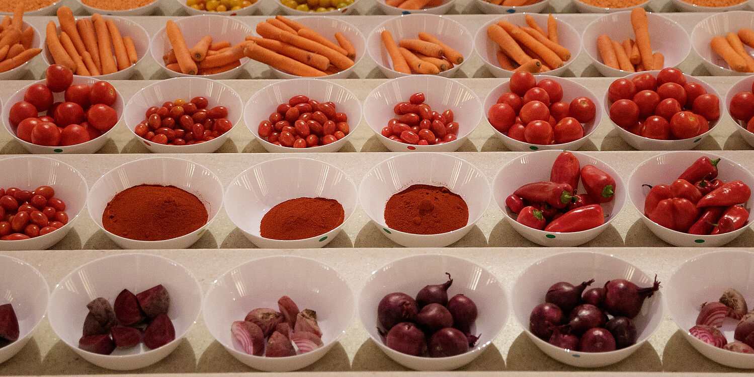 20 Jahre Wiener Tafeln 