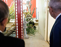 Bild 9 von 12