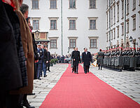 Bild 6 von 11